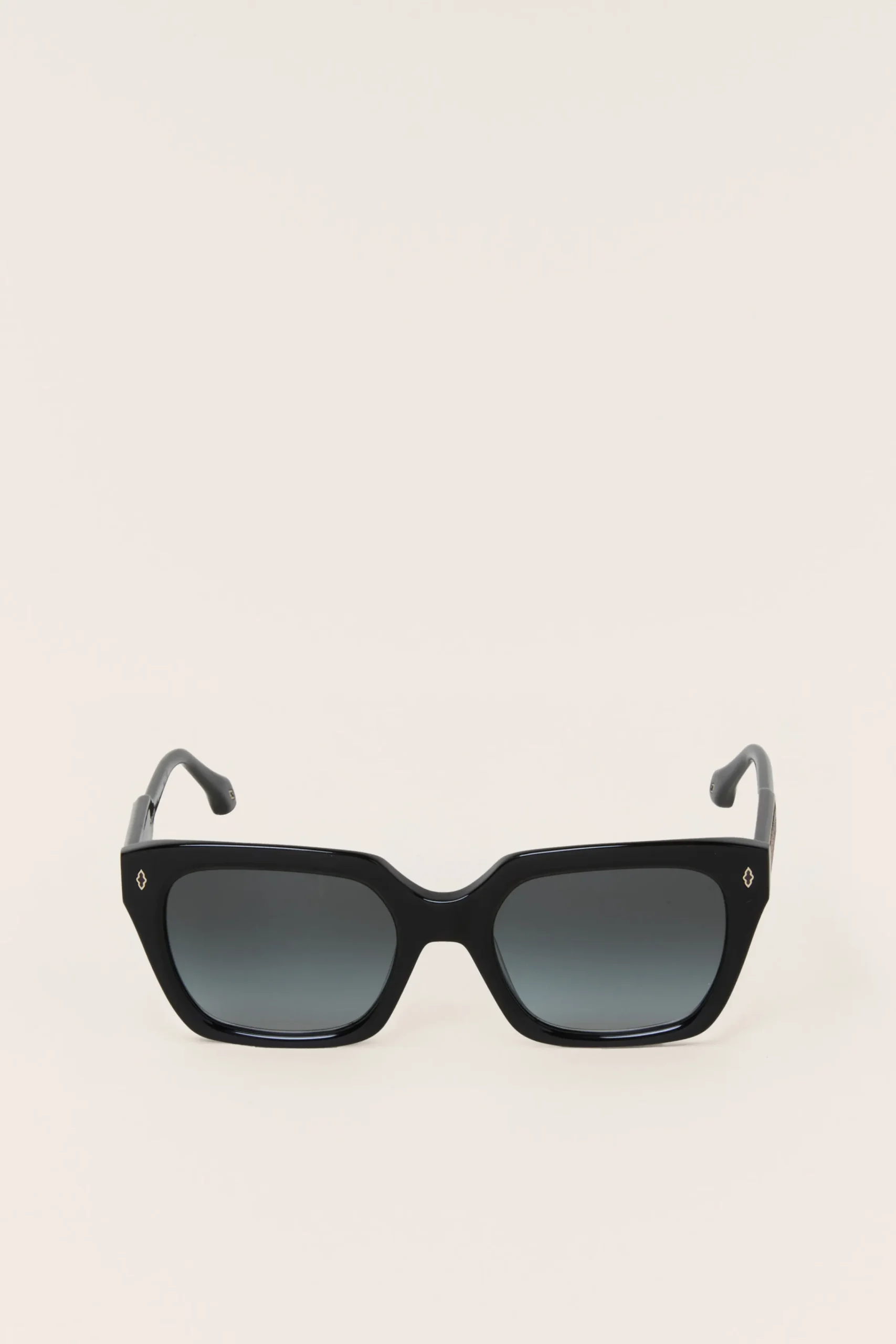 LAIA< New